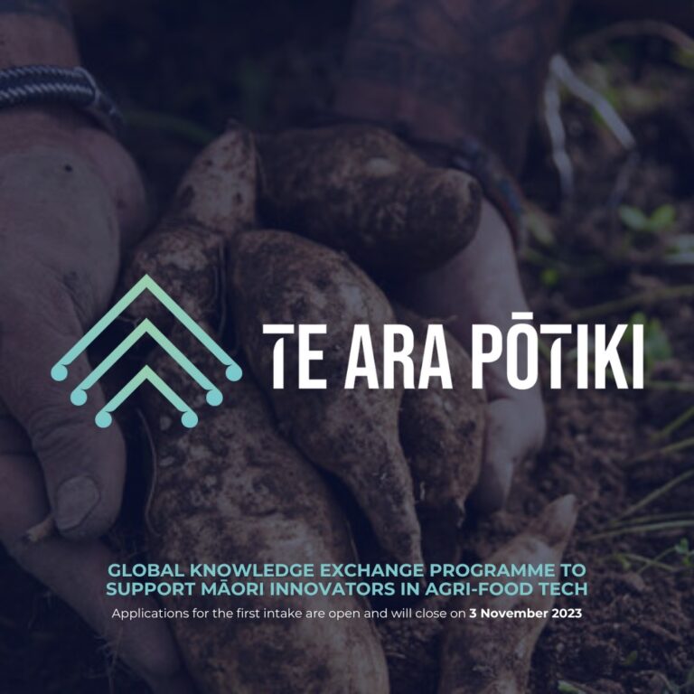 Te Ara P Tiki Global Intern Programme Foma Org Nz